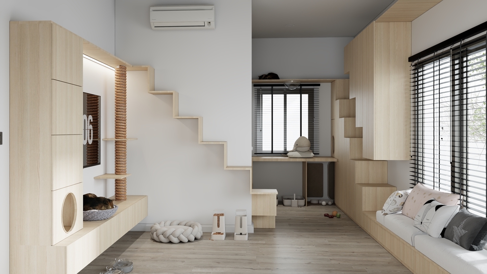 Cat Room