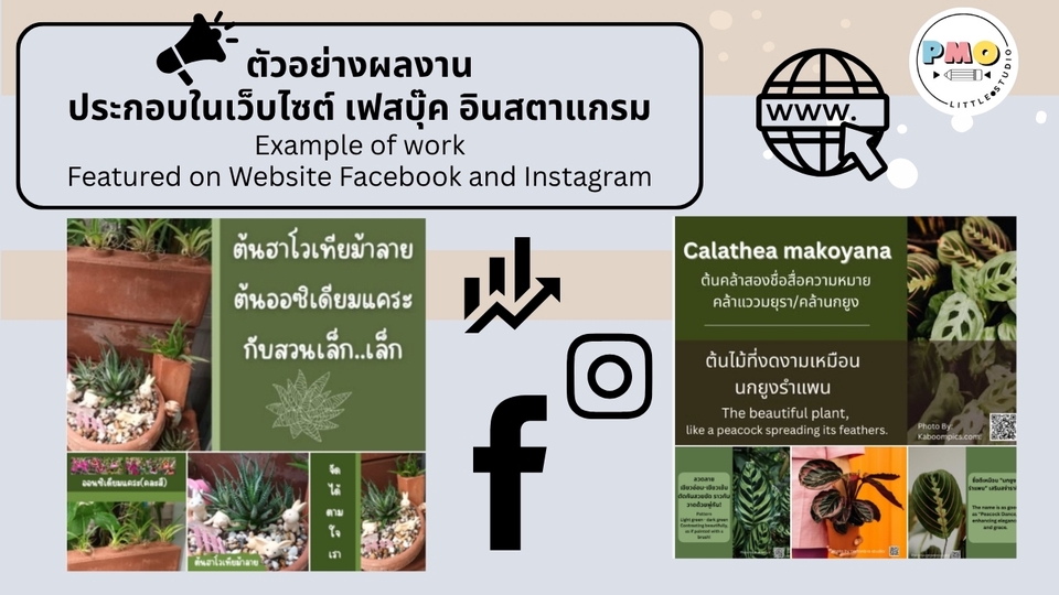 รับออกแบบแบนเนอร์ เว็บไซต์ เฟสบุ๊ก อินสตาแกรม ตัวอย่างผลงานออกแบบ banner โซเชียลมีเดีย