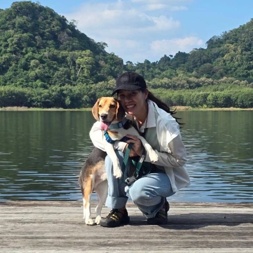รับฝึกสุนัข บีเกิลน่ารัก ฝึกอบรมมืออาชีพ