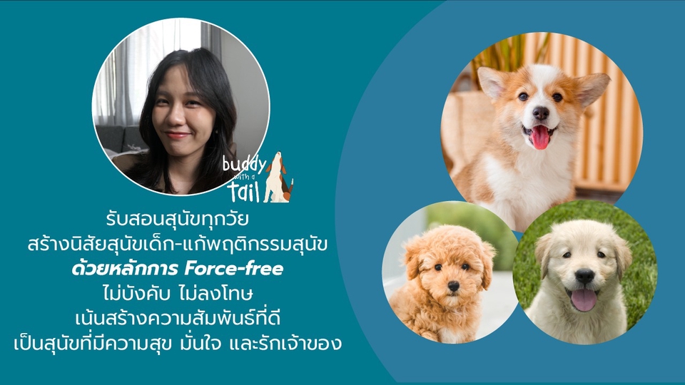 ฝึกสุนัขเด็ก 3 - 12 เดือน - แก้พฤติกรรมสุนัข
ด้วยหลักการ Force-free
