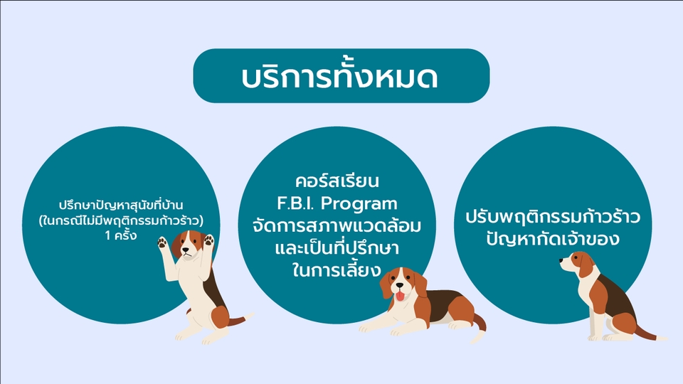 รับฝึกสุนัขที่บ้าน ราคาถูก ฝึกแก้ปัญหาพฤติกรรม