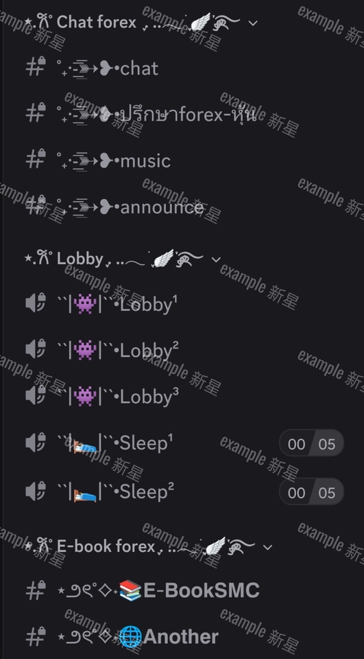 อื่นๆ - Discord ออกแบบ/ทำช่องดิส - 5