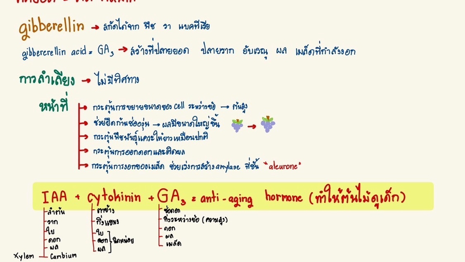 ทำงานแนวรายงานและบทความ