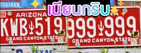 รับแก้ไขตัวเลขสมจริงในภาพ