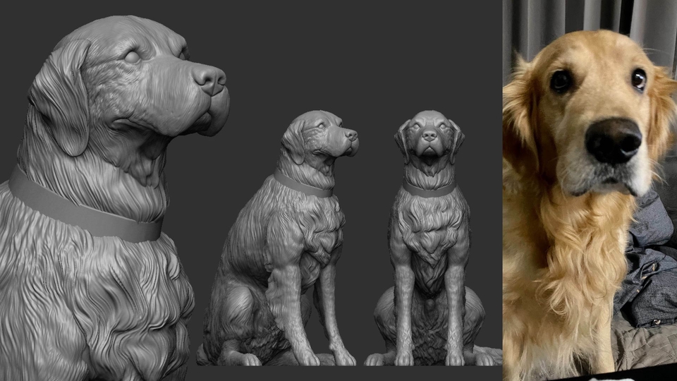 รับผลิต art toy รูปปั้นหมาโกลเด้น เรซิ่นสุนัข สัตว์เลี้ยง ออกแบบคาแรคเตอร์ 3D