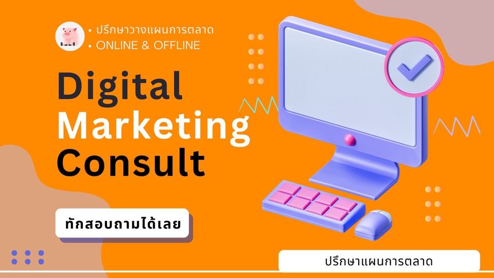 ที่ปรึกษาการตลาดออนไลน์, วิเคราะห์แผนการตลาด