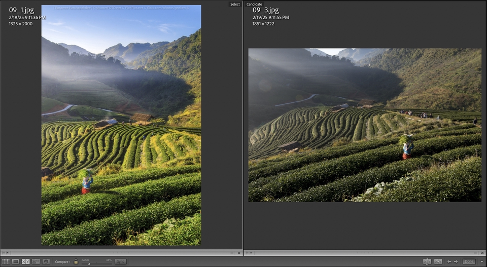 รับแต่งรูปภาพ ไร่ชาเขียวสวยงามพร้อมหมอกยามเช้า ปรับแสง ปรับสีรูปภาพให้สวยงาม