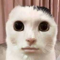 Fiy116