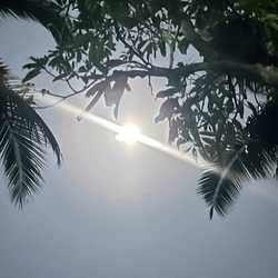 Sawanya damkham