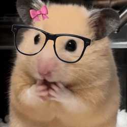 karimoki